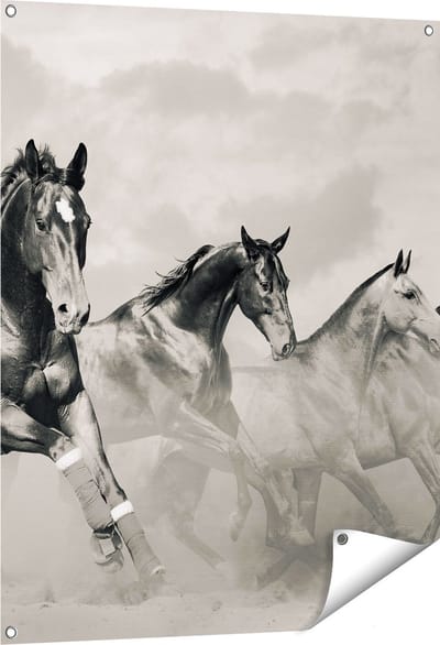 Gards Tuinposter Vier Paarden naast Elkaar - Zwart Wit - 80x100 cm - Tuindoek - Tuindecoratie - Wanddecoratie buiten - Tuinschilderij