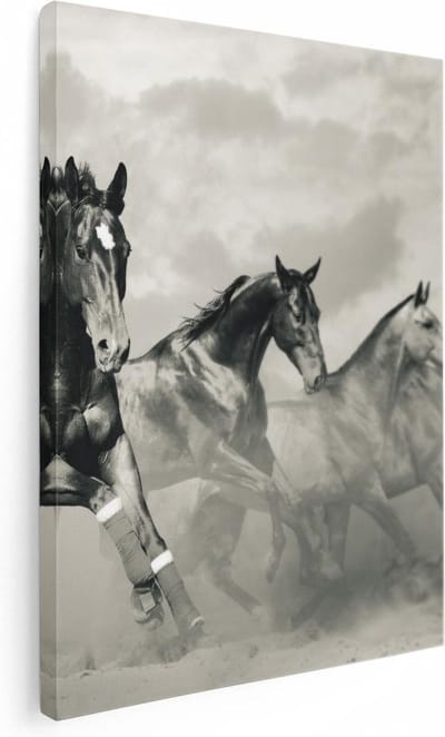 Artaza Canvas Schilderij Wilde Paarden - 30x40 cm - Klein - Muurdecoratie Dieren - Wanddecoratie Woonkamer - Schilderijen Op Canvas