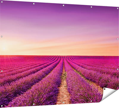 Gards Tuinposter Paarse Lavendel Bloemenveld - 160x120 cm - Tuindoek - Tuindecoratie - Wanddecoratie buiten - Tuinschilderij