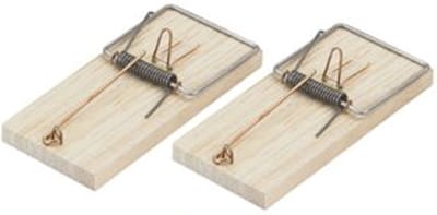 EDM muizenval - hout - 2 stuks - opnieuw te gebruiken