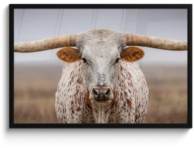 Poster in lijst - Fotolijst 90x60 cm - Posters - Longhorn - Grasveld - Dier - Posterlijst zwart - Decoratie - Wanddecoratie woonkamer - Muurdecoratie slaapkamer