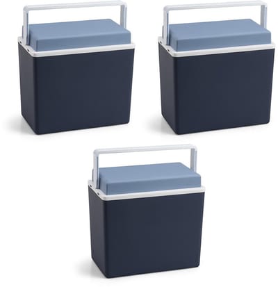 Koelbox - 3x - blauw - klein formaat - 10 liter - 30,5 cm - koelboxen