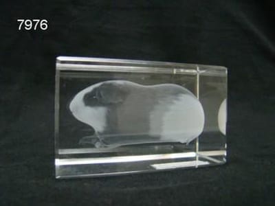 3D lasergravure cavia – Glasblokje – 8 x 5 x 5 cm – Decoratie