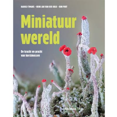 Miniatuurwereld - Henk-Jan Van der Kolk