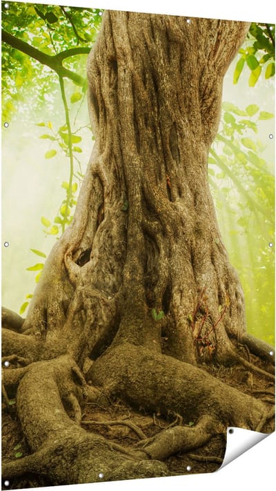 Gards Tuinposter Grote Boom in het Bos met Wortels - 120x180 cm - Tuindoek - Tuindecoratie - Wanddecoratie buiten - Tuinschilderij