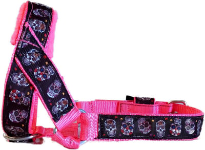 Hoofdhalster hond - Anti trek - Gevoerd - Maat S - Neon roze - Skulls - Antitrek hoofdhalster hond - Hoofdhalster hond - Antitrek hond - Trainingshalsband