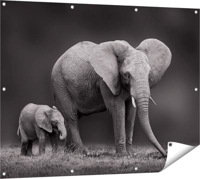 Gards Tuinposter Olifant Moeder en Zoon - Zwart Wit - 120x90 cm - Tuindoek - Tuindecoratie - Wanddecoratie buiten - Tuinschilderij