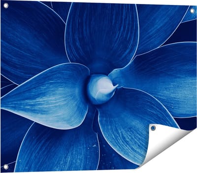 Gards Tuinposter Blauwe Agave Plant - Bloem - 80x60 cm - Tuindoek - Tuindecoratie - Wanddecoratie buiten - Tuinschilderij
