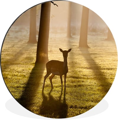 WallCircle - Wandcirkel - Muurcirkel - Hert - Bos - Zon - Aluminium - Dibond - 30x30 cm - Binnen en Buiten