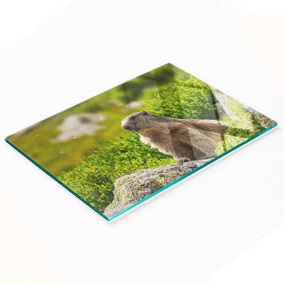 Stijlvol en duurzaam glazen bord met Tatra Marmot-print, 80x52 cm