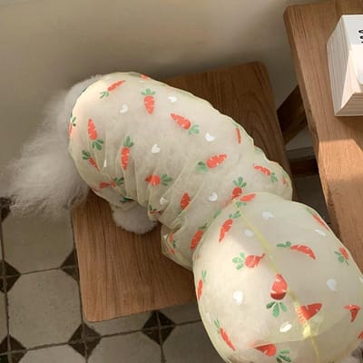 Combinaison intégrale en maille respirante pour chiot, anti-moustique, vêtements frais pour chien, Bichon, été, vêtements à quatre pattes, combinaisons pour Poméranien XS