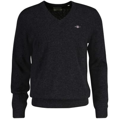 Gant Trui Extrafine Lambswool V-Neck Donker Grijs / male