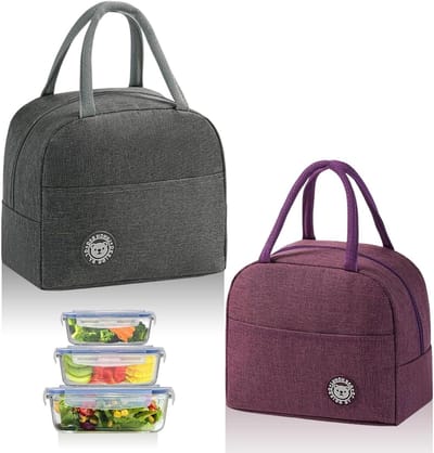 Lunchtas Set van 2 - Opvouwbare Geïsoleerde Koeltas - Draagbare Lunchbox - Grijs en Paars - 23 x 21 x 13 cm - Thermotas - Lunchtas voor Werk en Onderweg - Cadeau Snacktas