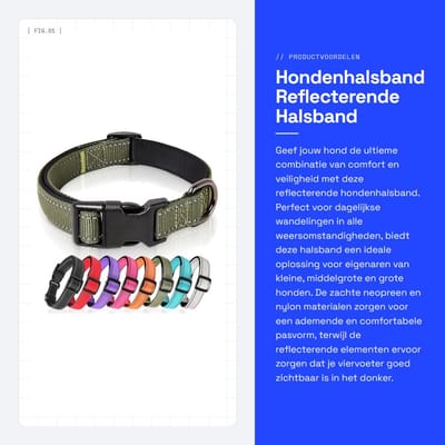 Dailygoods- Hondenhalsband Reflecterend - Gevoerd - Ademend - Zacht Neopreen - Verstelbaar voor Kleine/Middelgrote/Grote Honden - Groen - Hondentuig