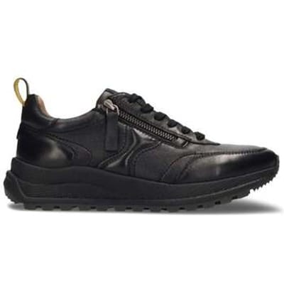 Lage Sneakers Salamander -