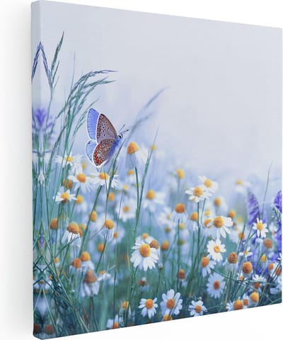 Artaza Canvas Schilderij Vlinder - 80x80 cm - Wanddecoratie Bloemen - Muurdecoratie Madeliefjes - Schilderijen Op Canvas Weiland