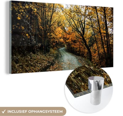 MuchoWow® Glasschilderij 40x20 cm - Schilderij acrylglas - Bladeren - Herfst - Bos - Foto op glas - Schilderijen