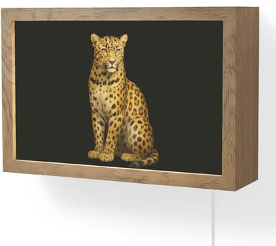 Wandlamp 30x20 cm - Oplaadbaar - Panter - Realistisch - Bruin - Wandlampen binnen woonkamer - Slaapkamer lamp met kabel - Decoratieve nachtlamp - Vloerlamp snoer