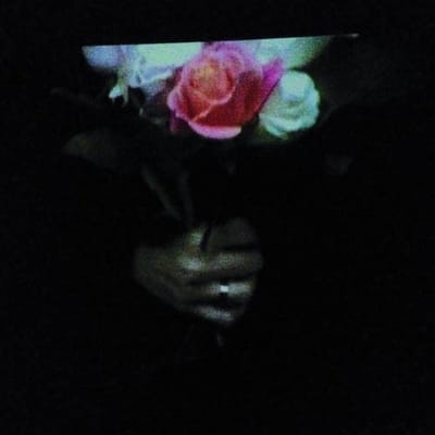 Paper Dollhouse - Aeonflower (LP)