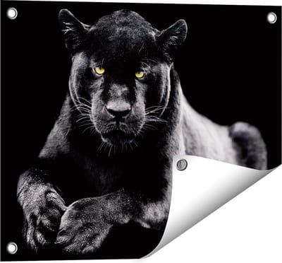 Gards Tuinposter Zwarte Panter - 50x40 cm - Tuindoek - Tuindecoratie - Wanddecoratie buiten - Tuinschilderij
