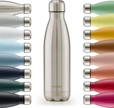 Blumtal Thermosfles - Met dubbele wand - Thermosbeker Koffie, Thee en Koele dranken - Travel Mug - 350ml - Stainless Steel - Zilver
