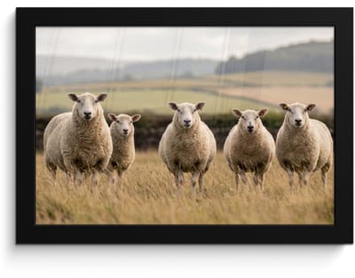 Poster in lijst - Fotolijst 30x20 cm - Posters - Schapen - Weidenlandschap - Heuvels - Posterlijst zwart - Decoratie - Wanddecoratie woonkamer - Muurdecoratie slaapkamer
