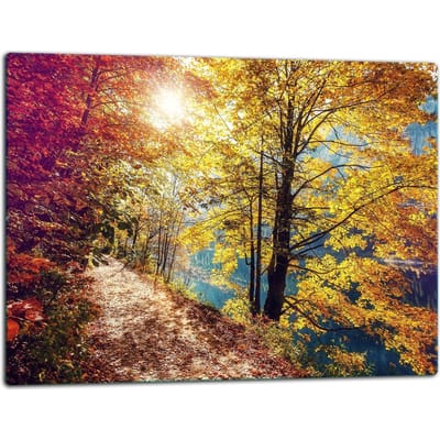 TMK ArtDeko - Snijplank - Inductiekookplaat - 52x40cm - Glas - Kleurvolle Kookplaatbeschermer