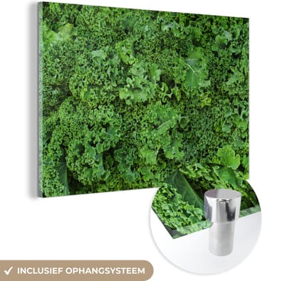 ® Glasschilderij 180x120 cm - Schilderij acrylglas - Een veld vol met verse boerenkool in New York - Foto op glas - Muurdecoratie woonkamer - Wanddecoratie slaapkamer - Schilderijen