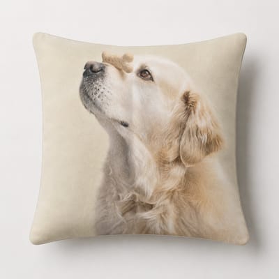 Unique Living - 4 stuks - kussenhoes - sierkussenhoes - wit - groen - pastel - 45 x 45 cm - rits - fluweel - hond - Golden Retriever