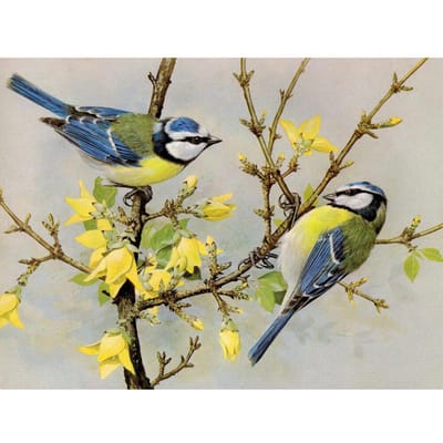 Peinture diamant Animal oiseau, image strass, point de croix, motif de broderie, perles 20X30CM