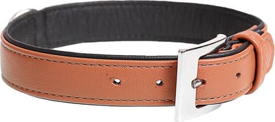 Duvoplus - Halsband Voor Dieren - Hond - Popular Leder Halsband 32-38cm/19mm Cognac - 1st