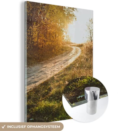 MuchoWow® Glasschilderij 30x40 cm - Schilderij acrylglas - Pad - Natuur - Boom - Foto op glas - Schilderijen