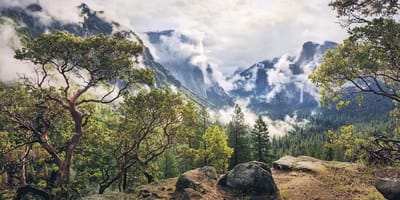Fotobehang - Unique Paradise 200x100cm - Vliesbehang