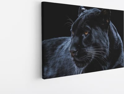 Saammp Canvas Schilderij - Zwarte Panter - Portret - Natuur - Dieren - 45x30 - Foto op canvas - Wanddecoratie - Muurdecoratie Kinderkamer - Slaapkamer decoratie - Canvas Print