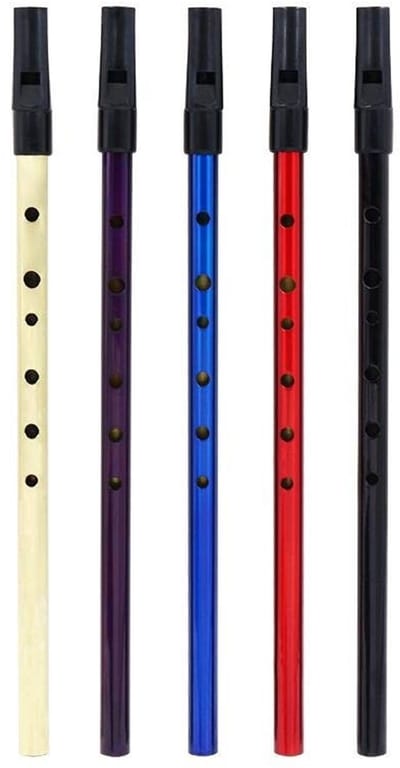 Dailygoody - Tin Fluitje C - Traditioneel Blazend Instrument - Lichtgewicht en Duurzaam - Multi Color - Perfect voor Muziek en Vermaak - Inclusief Opb