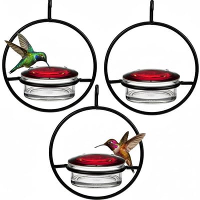 carmdering - Kolibrievoeder - Vogelvoeder - Buitenvoeder - Glas en metaal, 7,25×6×5,5 inch, 3-4 oz nectar - Met rode glazen kom en zitstok - Insectenwerend, hangend ontwerp - Perfect voor tuin en balkon - Cadeau voor vogelliefhebbers - Set van 3