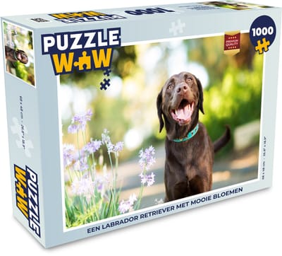 Puzzel Een Labrador Retriever met mooie bloemen - Legpuzzel - Puzzel 1000 stukjes volwassenen