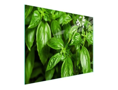 TMK ArtDeko - Snijplank - Glas - 52x30 cm - Antislip