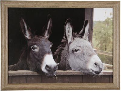 Mars & More Schootkussen – Laptray – Dienblad met kussen - Laptoptafel - Schoottafel - ezels print - 43 x 33 cm