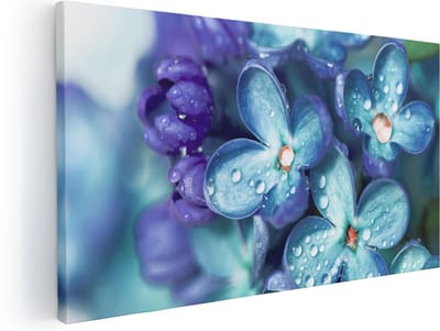 Artaza Canvas Schilderij Bloemen - 40x20 cm - Klein - Wanddecoratie Bloem - Muurdecoratie Waterdruppels - Schilderijen Op Canvas - Blauw