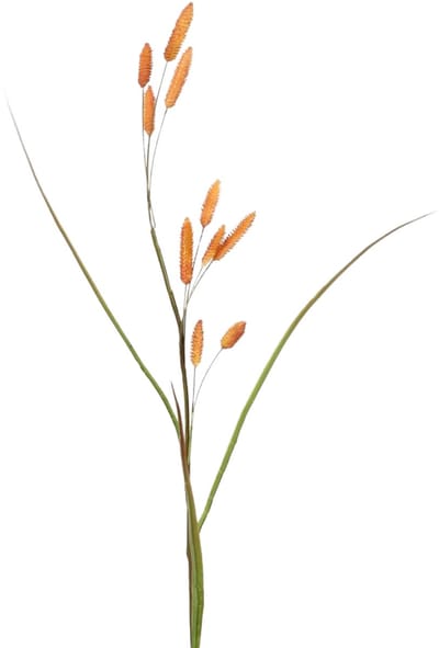 Viv! Home Luxuries Bunny Tails - gras - zijden bloem - oranje - hazenstaartje - 114cm