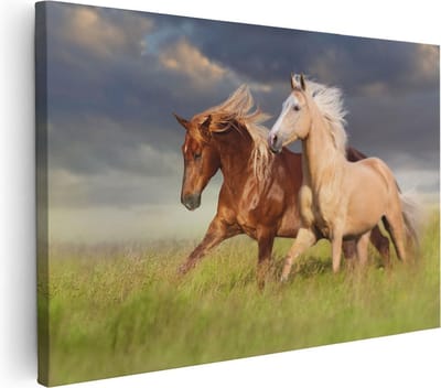 Artaza Canvas Schilderij Paard - 30x20 cm - Klein - Wanddecoratie Woonkamer - Muurdecoratie Dieren - Schilderijen Op Canvas