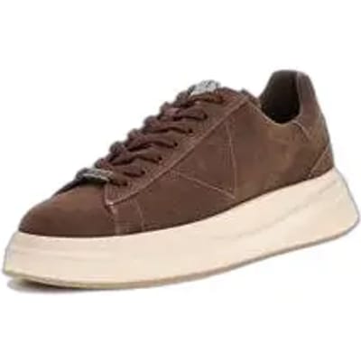 Trainers Guess Elba