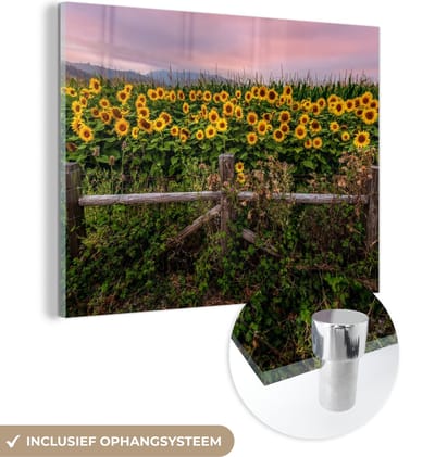 MuchoWow® Glasschilderij 40x30 cm - Schilderij acrylglas - Zonnebloem - Bloemen - Planten - Foto op glas - Schilderijen