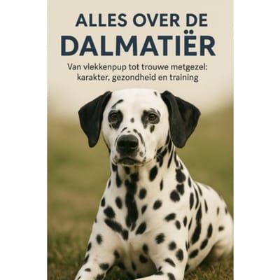 Alles Over De Dalmatiër - Andries B.V.
