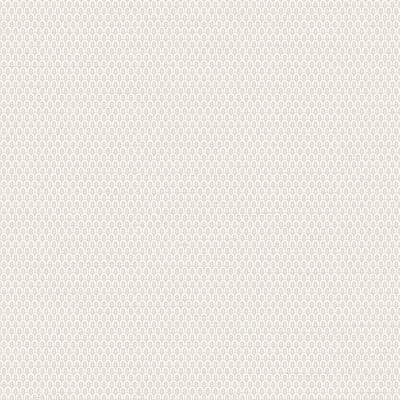 Dutch Wallcoverings - Tapestry Loop Plain Off White - TP422801