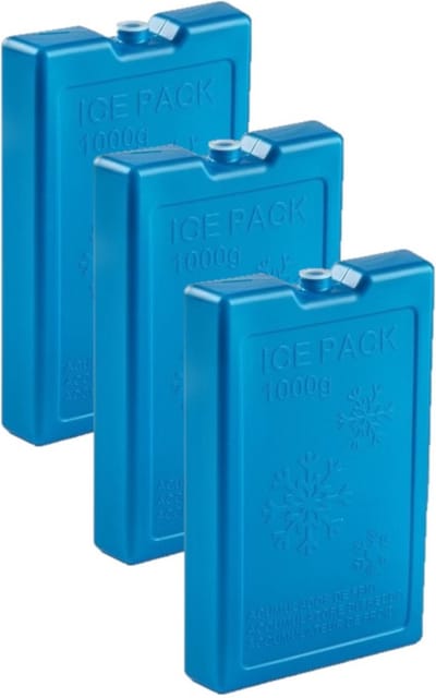 Plasticforte 1000 grams koelelementen - 6x stuks - 22 x 14 x 3 cm - blauw - kunststof - met sneeuwvlokken print - koeltas - koelbox