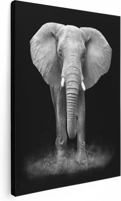 Artaza Canvas Schilderij Dierenkop Olifant - 30x40 cm - Klein - Muurdecoratie Woonkamer - Wanddecoratie Dierenhoofd - Kamer Accessoires
