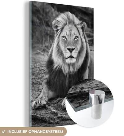 MuchoWow® Glasschilderij 20x30 cm - Schilderij acrylglas - Dieren - Zwart - Wit - Profiel - Foto op glas - Schilderijen