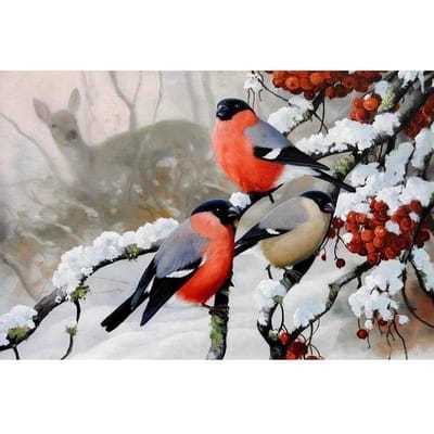 Décoration d'intérieur DIY Broderie Diamant 5D  oiseau  Kit Point de Croix Peinture à l'huile Abstraite Résine Loisir Créatif 40X50CM